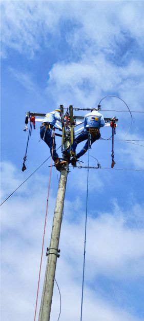 {{brizy_dc_image_alt imageSrc=