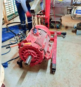 {{brizy_dc_image_alt imageSrc=